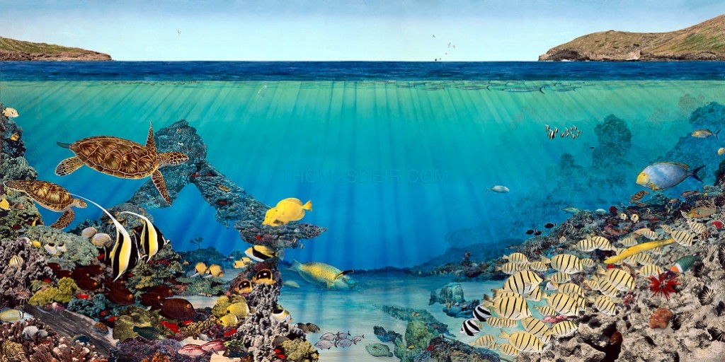 Haunama Bay Undersea Scene Paintings of Tropical Fish