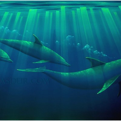 Emerald Forest Dolphin Painting