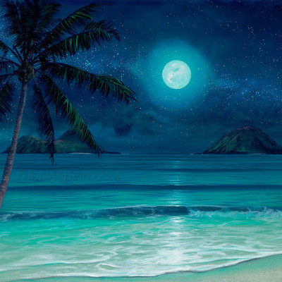 tropical beach scenes painting with full moon at night