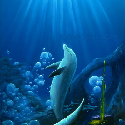 Shaka Dolphin Painting