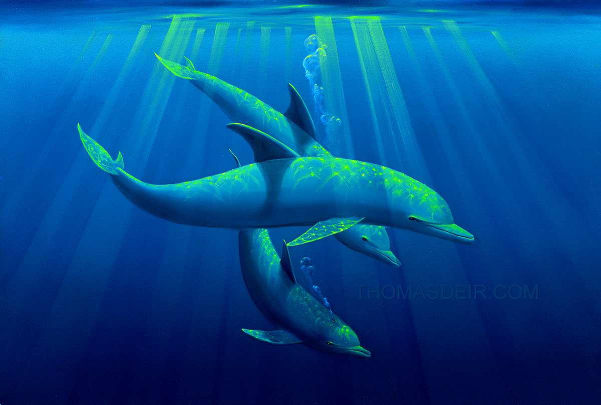 Trio of Tranquility Dolphin Painting