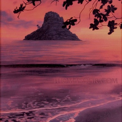 tropical sunrise paintings leaves island