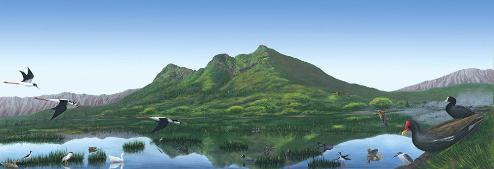 Hawaii Landscape Painting Kaelepulu Wetland