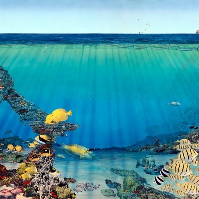Haunama Bay Undersea Scene Paintings of Tropical Fish