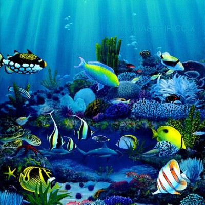 Hawaii Wall Art Tropical Fish Paintings Living Reef