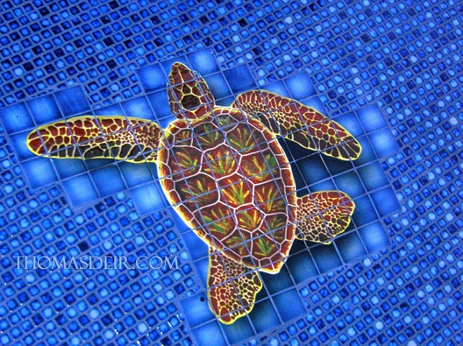 pool turtle tile mural