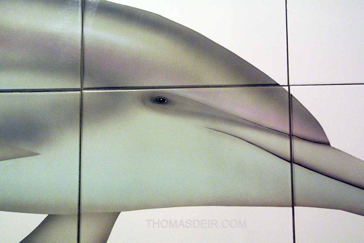 Dolphin painting on tile mural detail
