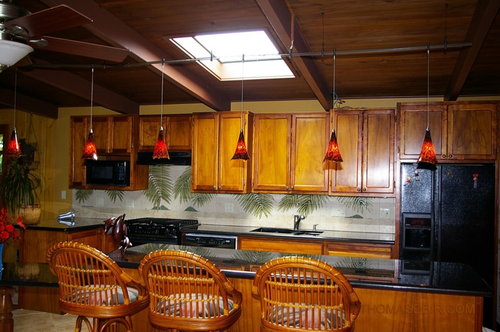 Kitchen remodeling and kitchen design with tropical palm fronds and Hawaii tile murals