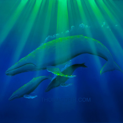 Whale art painting of two calves with mother