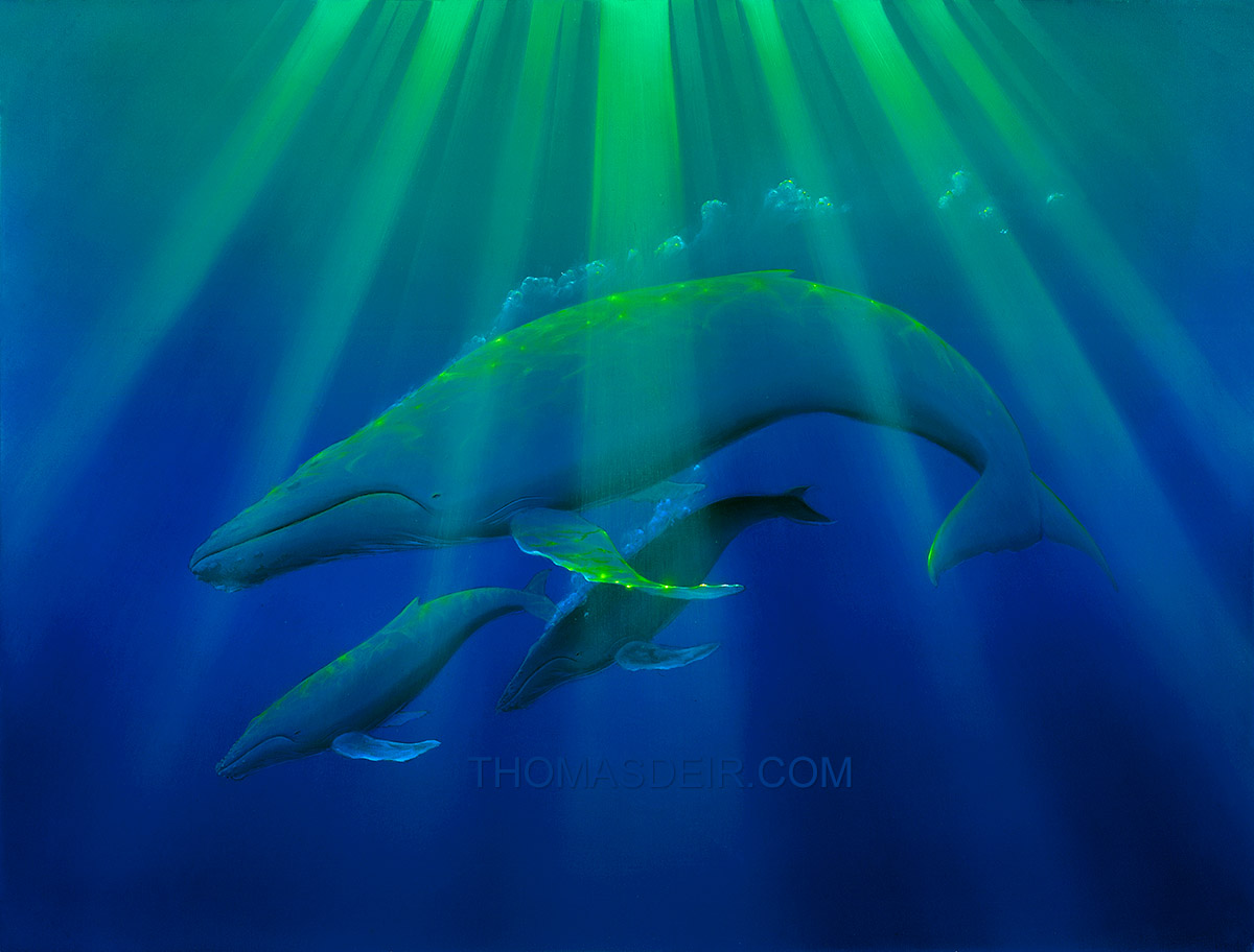 Whale art painting of two calves with mother