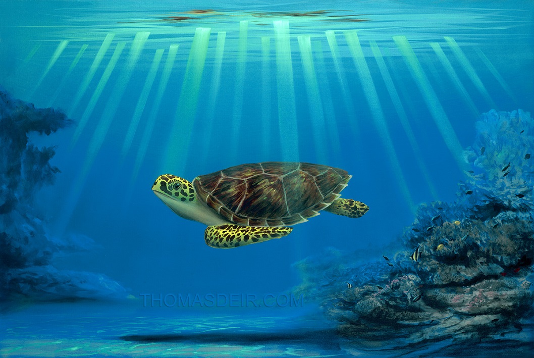 Hawaii Turtle Painting featuring Myrtle the Turtle's Mommy