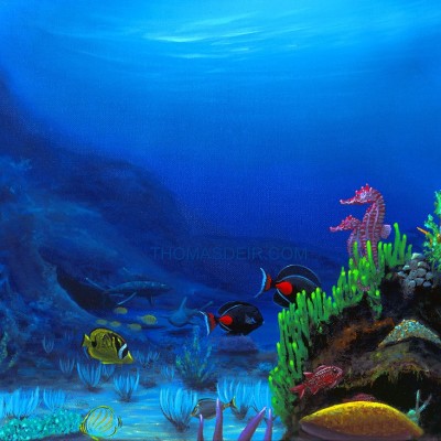Tropical Reef Seahorse Hawaii Paintings