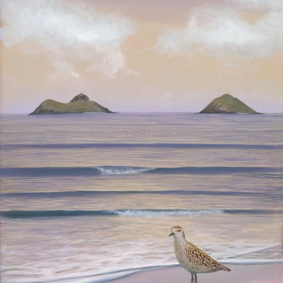 Lanikai Kolea Hawaii Beach Scene Painting